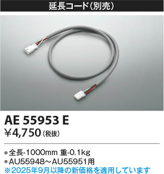 β Koizumi ߾ Ĺ AE55953E