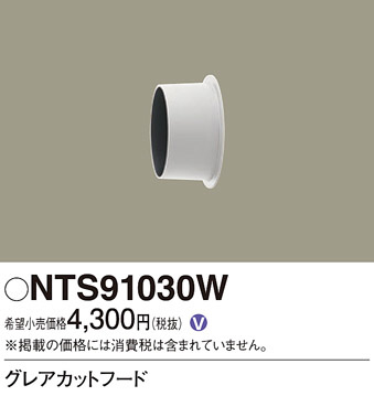 Panasonic ¾° NTS91030W ᥤ̿