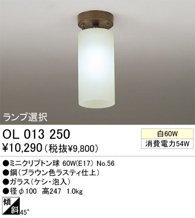  ODELIC ǥå OL013250