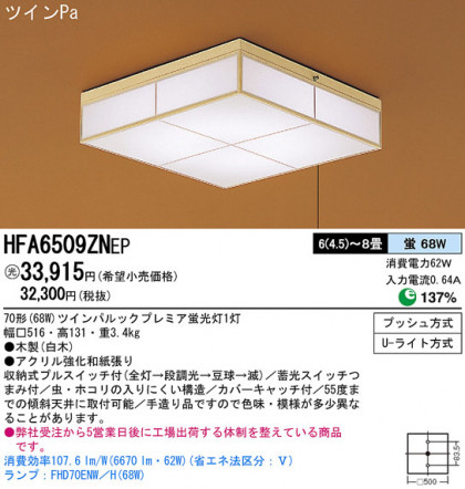 Panasonic   HFA6509ZNEP ᥤ̿