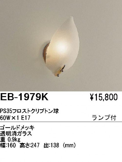 ƣ ENDO ֥饱å EB-1979K
