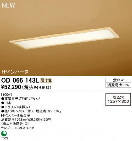 ODELIC ١饤 OD066143L