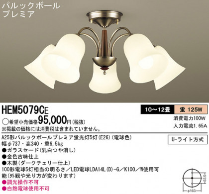 Panasonic ǥꥢ HEM5079CE ᥤ̿