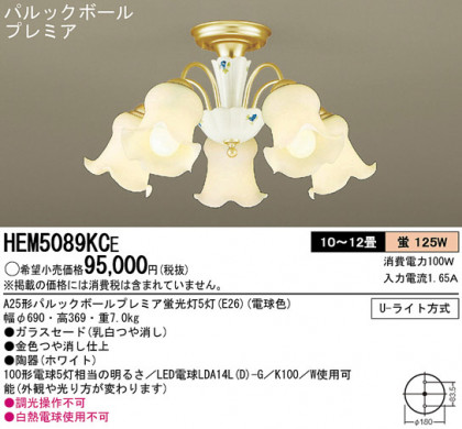 Panasonic ǥꥢ HEM5089KCE ᥤ̿
