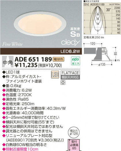 KOIZUMI ADE651189 ᥤ̿