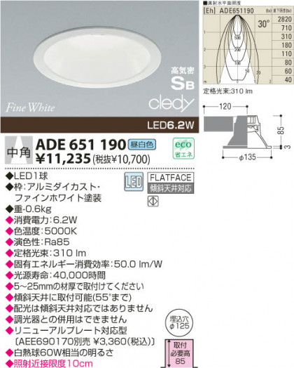 KOIZUMI ADE651190 ᥤ̿