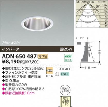 KOIZUMI ADN650487 ᥤ̿
