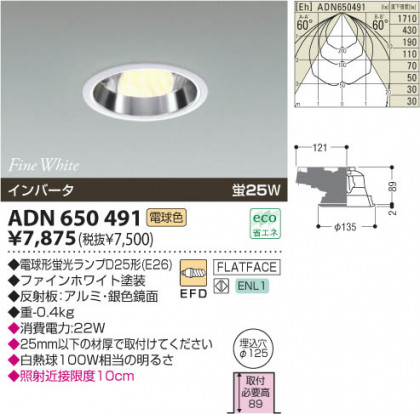 KOIZUMI ADN650491 ᥤ̿