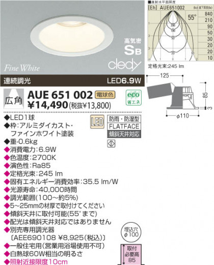 KOIZUMI LED ɱɼⵤ̩饤 AUE651002 ᥤ̿