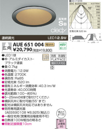 KOIZUMI LED ɱɼⵤ̩饤 AUE651004 ᥤ̿