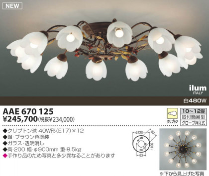 KOIZUMI AAE670125 ᥤ̿