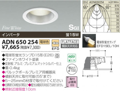 KOIZUMI ADN650254 ᥤ̿