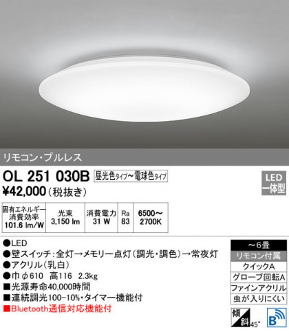 ODELIC ǥå 󥰥饤 OL251030B ᥤ̿