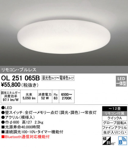 ODELIC ǥå 󥰥饤 OL251065B ᥤ̿
