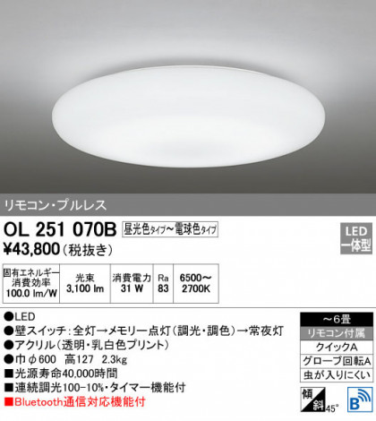 ODELIC ǥå 󥰥饤 OL251070B ᥤ̿