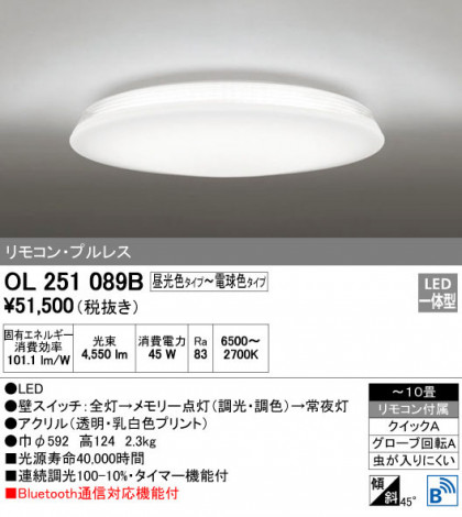 ODELIC ǥå 󥰥饤 OL251089B ᥤ̿