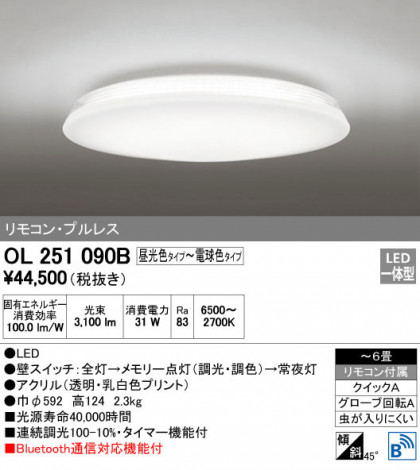 ODELIC ǥå 󥰥饤 OL251090B ᥤ̿