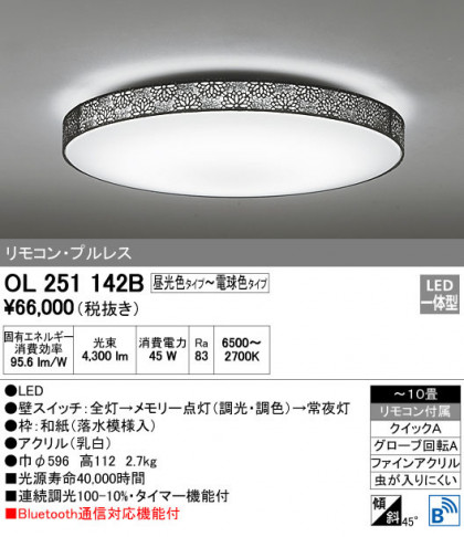 ODELIC ǥå 󥰥饤 OL251142B ᥤ̿