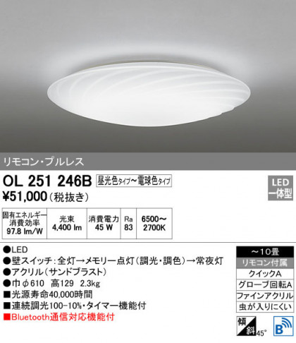 ODELIC ǥå 󥰥饤 OL251246B ᥤ̿