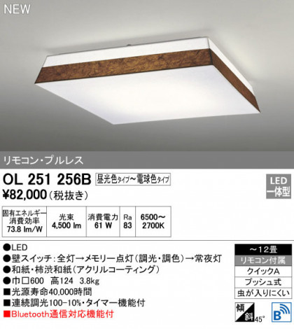 ODELIC ǥå 󥰥饤 OL251256B ᥤ̿