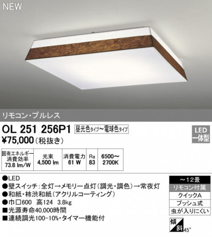 ODELIC ǥå 󥰥饤 OL251256P1 ᥤ̿