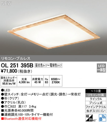 ODELIC ǥå 󥰥饤 OL251395B ᥤ̿