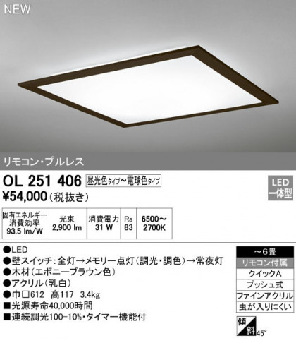 ODELIC ǥå 󥰥饤 OL251406 ᥤ̿