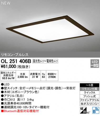 ODELIC ǥå 󥰥饤 OL251406B ᥤ̿