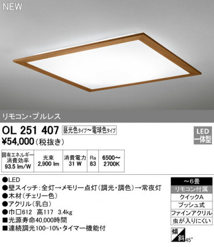 ODELIC ǥå 󥰥饤 OL251407 ᥤ̿
