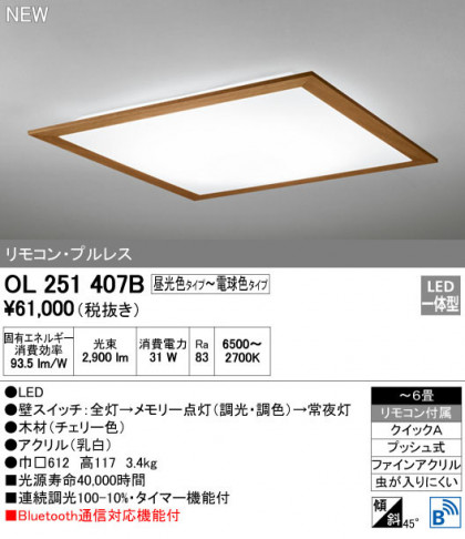 ODELIC ǥå 󥰥饤 OL251407B ᥤ̿