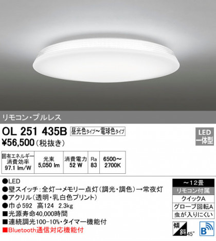 ODELIC ǥå 󥰥饤 OL251435B ᥤ̿