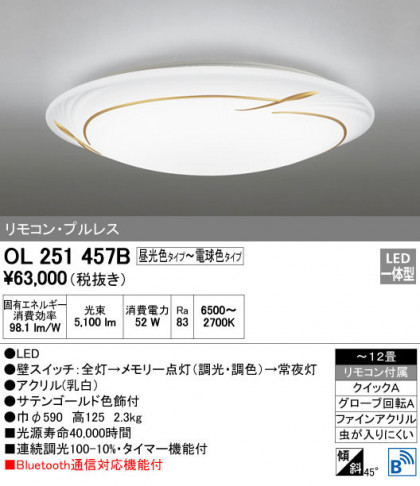 ODELIC ǥå 󥰥饤 OL251457B ᥤ̿