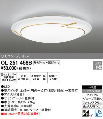 ODELIC ǥå 󥰥饤 OL251458B ᥤ̿