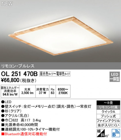 ODELIC ǥå 󥰥饤 OL251470B ᥤ̿