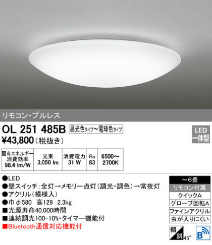ODELIC ǥå 󥰥饤 OL251485B ᥤ̿