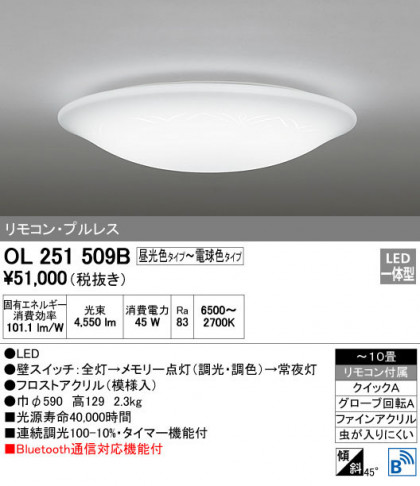 ODELIC ǥå 󥰥饤 OL251509B ᥤ̿
