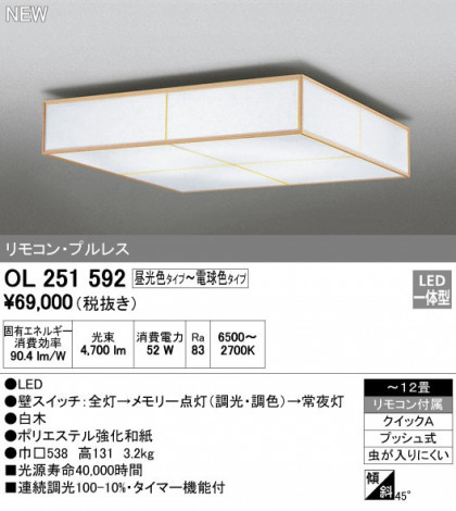 ODELIC ǥå 󥰥饤 OL251592 ᥤ̿