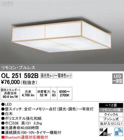 ODELIC ǥå 󥰥饤 OL251592B ᥤ̿
