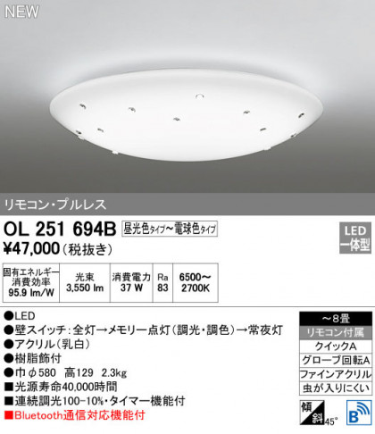 ODELIC ǥå 󥰥饤 OL251694B ᥤ̿