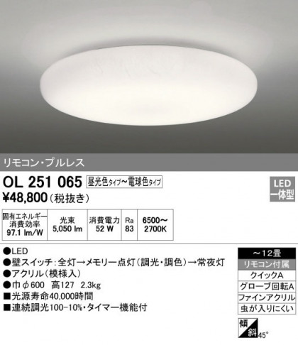 ODELIC ǥå 󥰥饤 OL251065 ᥤ̿