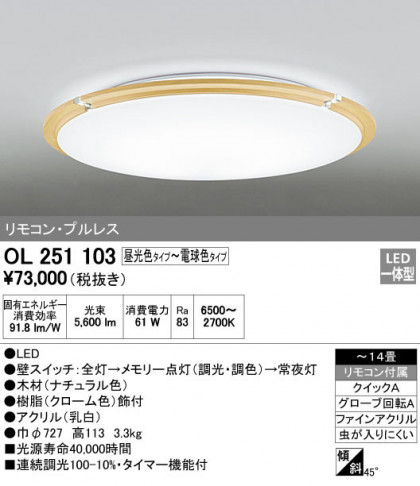 ODELIC ǥå 󥰥饤 OL251103 ᥤ̿