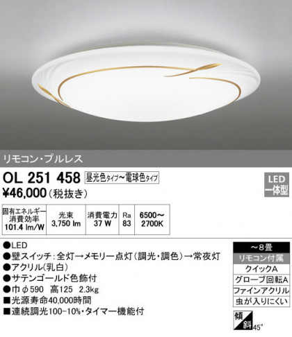 ODELIC ǥå 󥰥饤 OL251458 ᥤ̿