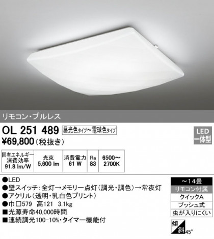 ODELIC ǥå 󥰥饤 OL251489 ᥤ̿