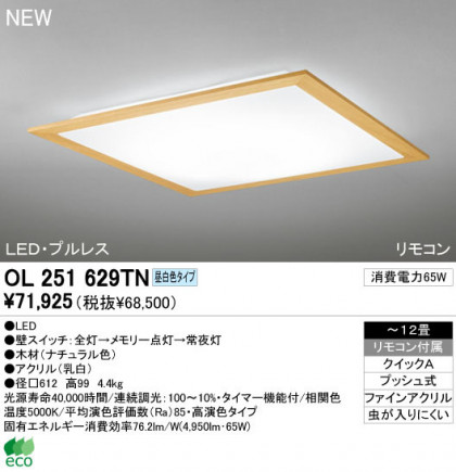 ODELIC ǥå LED 󥰥饤 OL251629TN