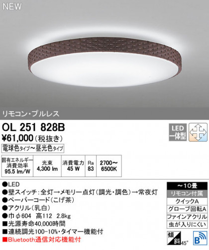 ODELIC ǥå 󥰥饤 OL251828B ñʲ