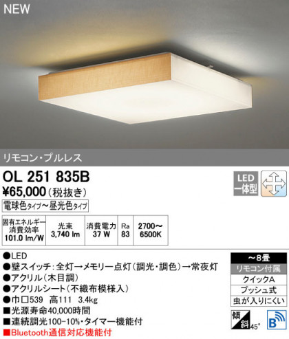 ODELIC ǥå 󥰥饤 OL251835B ñʲ