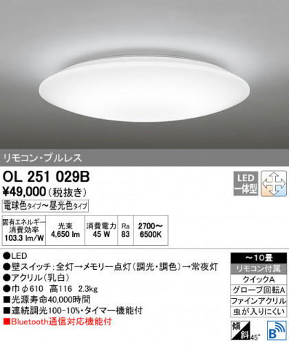 ODELIC ǥå 󥰥饤 OL251029B ñʲ