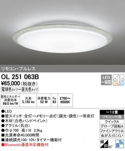 ODELIC ǥå 󥰥饤 OL251063B ñʲ
