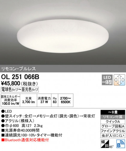 ODELIC ǥå 󥰥饤 OL251066B ñʲ