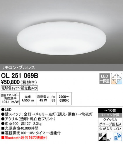 ODELIC ǥå 󥰥饤 OL251069B ñʲ